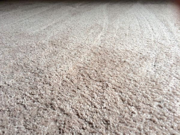 Plush Carpet Installation in Scottsdale