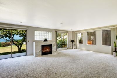 Elegant Living Room Carpet